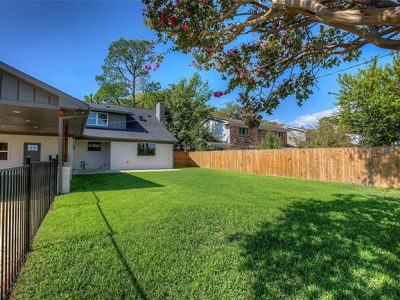 Home Backyard Design